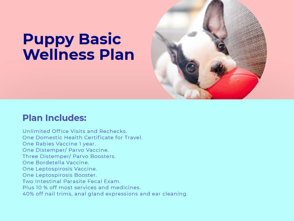 Puppy Basic Wellness plan