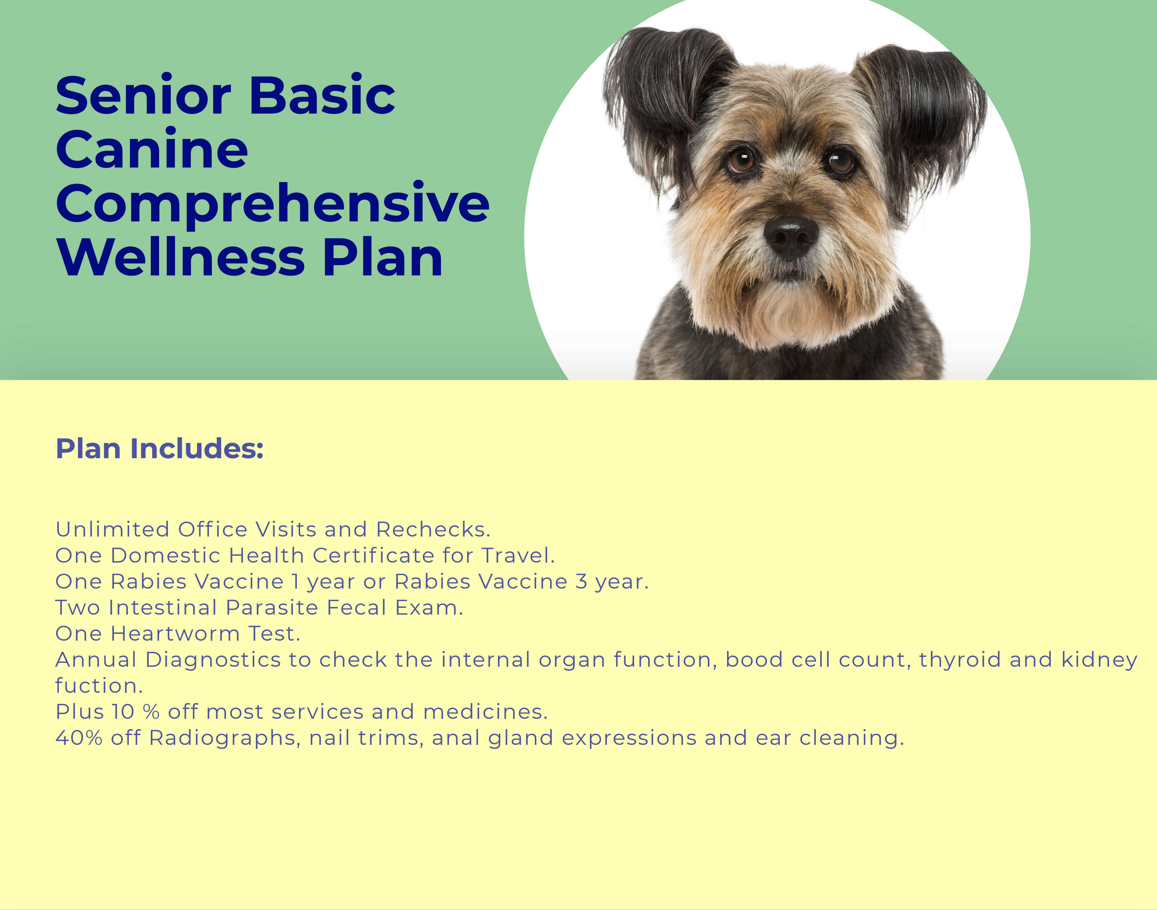 Senior Dog BASIC Comprehensive Wellness Plan at animal wellness clinic