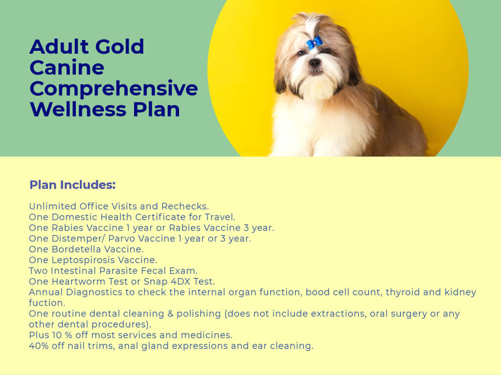 Dog Wellness Plans
