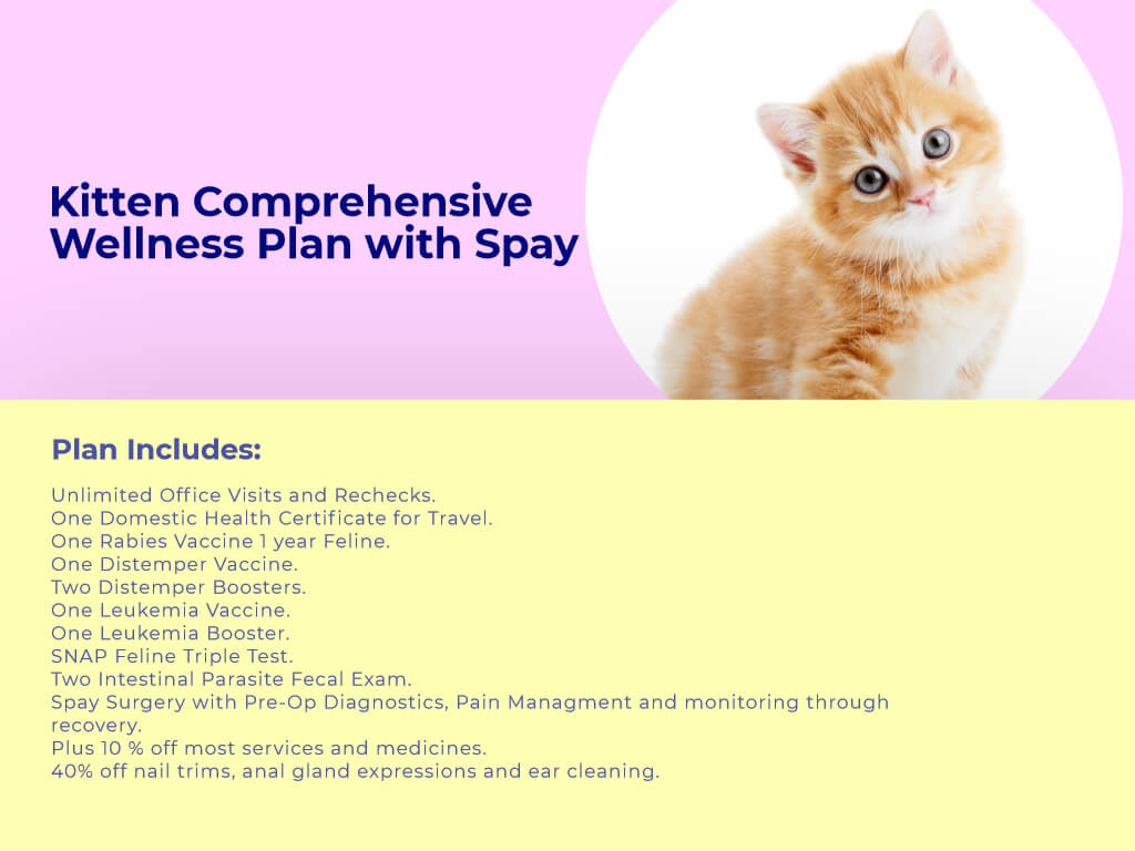 Puppy Comprehensive Wellness plan Spay at Animal wellness clinic