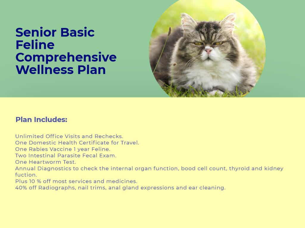 Senior Cat Wellness Plans