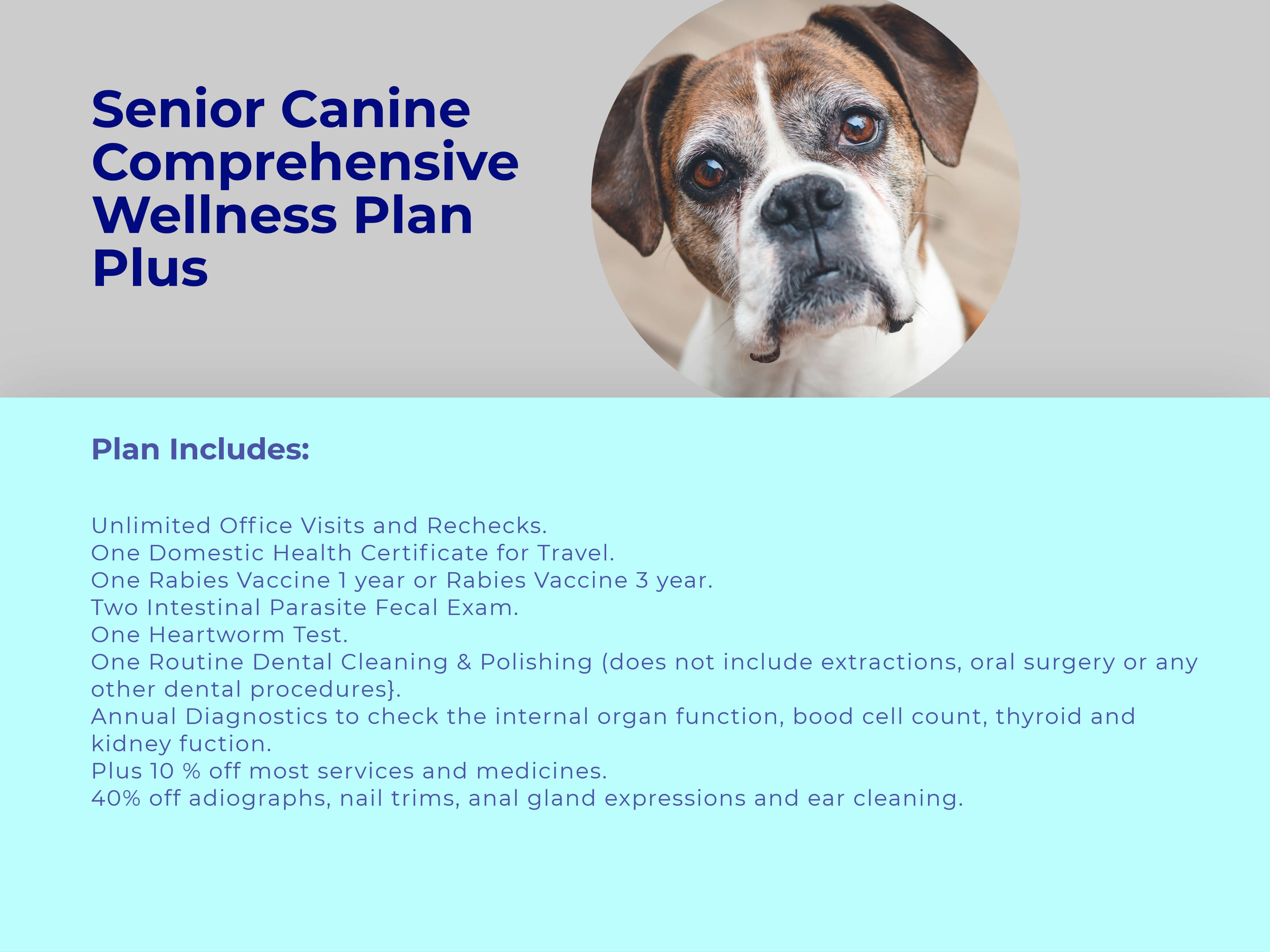 Senior Dog Wellness Plans