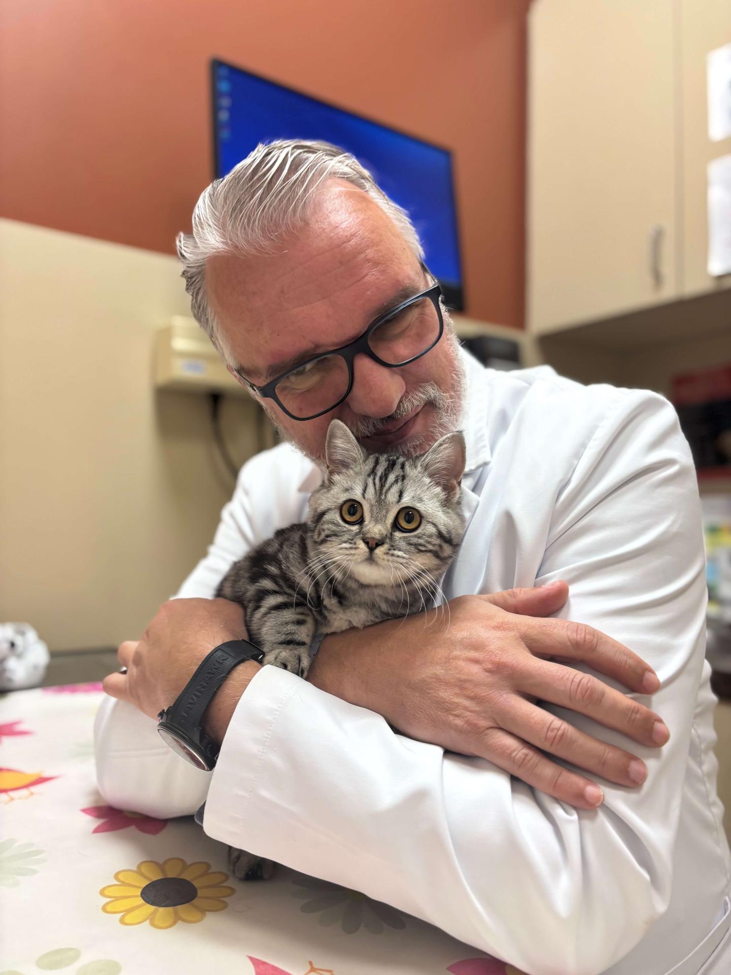 Dr. Dark and Kitten - Animal Wellness Clinic of Tamarac - Tamarac, FL