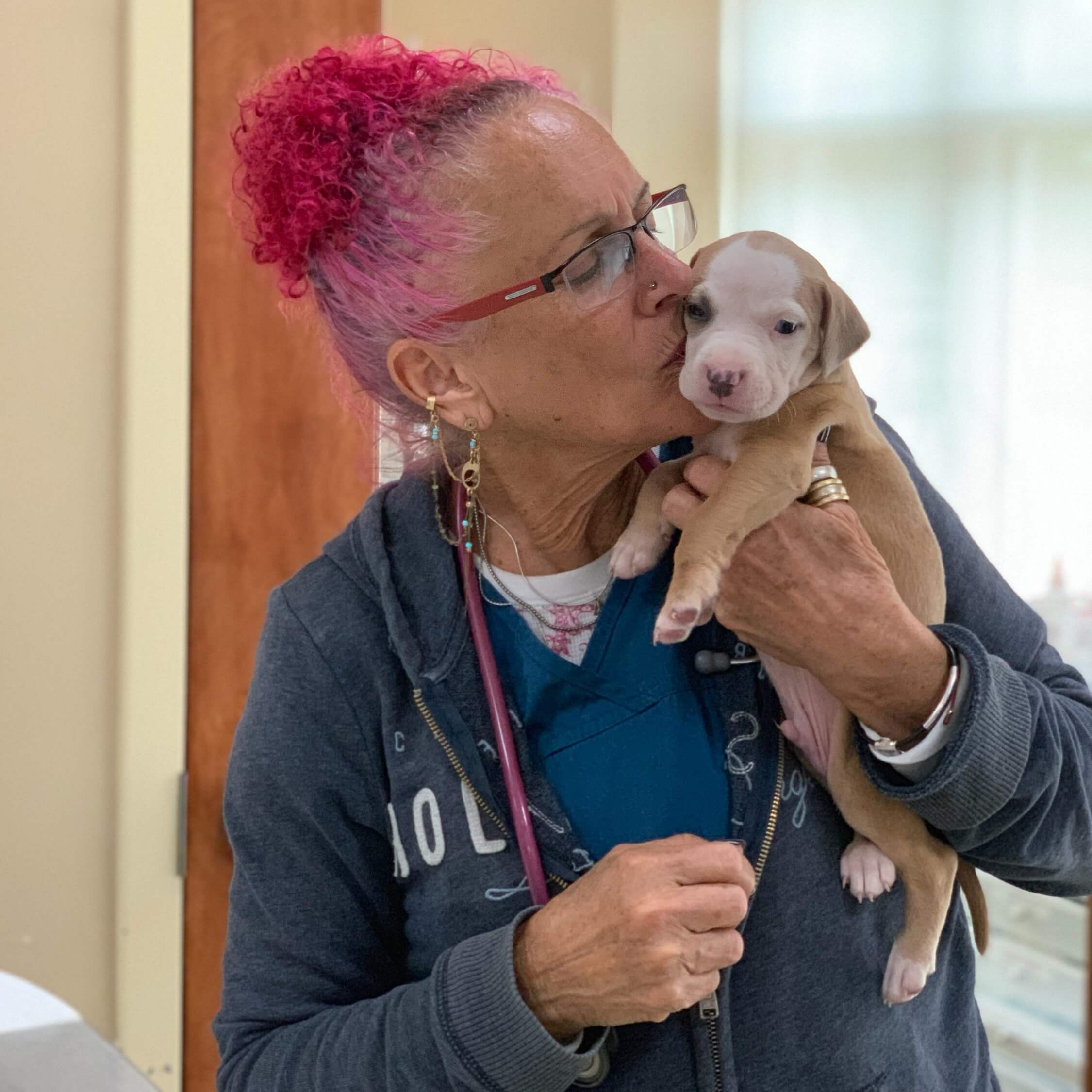 Puppy care with our veterinarians